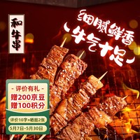HAIXIN 海欣 牛肉串澳洲和牛肉（8串）120g腌制串串香火锅烧烤食材半成