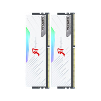 KINGBANK 金百達 白刃 DDR5 7600MHz RGB 臺式機內存 燈條 32GB 16GBx2 C36 微星MPOWER聯合款