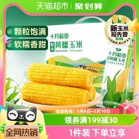 88VIP：十月稻田 鲜食黄糯玉米2.2kg东北糯玉米棒真空装苞米五谷杂粮 粗粮