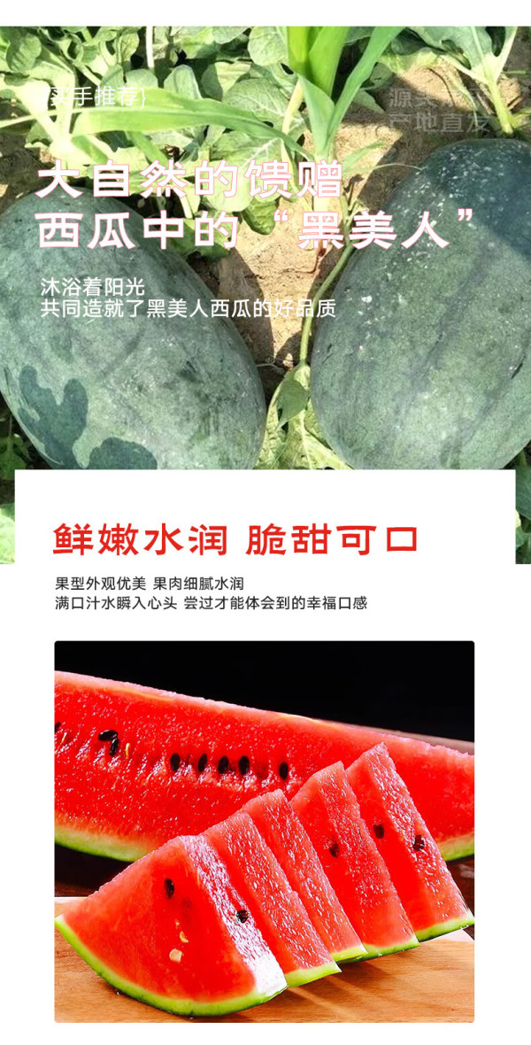 mrseafood京鲜生黑美人西瓜1粒装净重445kg
