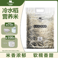 先生粮品冷水稻营养米长粒香软籼米南方新米真空装煲仔饭5kg/10斤