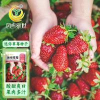 凤鸣雅世 迷你草莓种子500粒