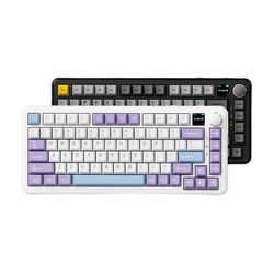 AJAZZ 黑爵 ak820max 三模機械鍵盤 75配列 飛魚軸版 鍵盤