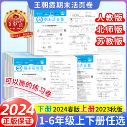 《2024春王朝霞期末活页卷》（年级科目任选）