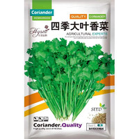 花语笙默 四季播种蔬菜种子  四季大叶香菜种子（约900粒） 原厂封装1袋