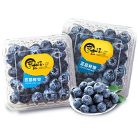京世泽 国产高山蓝莓 时令蓝莓水果 4盒装125g/盒 18-20mm【特大果】