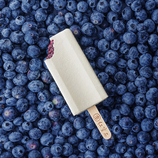 东北大板 蓝莓夹心牛奶口味冰棍 80克*5支 量贩装 生鲜 冷饮