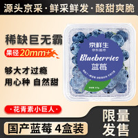 Mr.Seafood 京鲜生 国产蓝莓 4盒装 果径20mm+ 新鲜水果 源头直发包邮