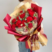 浪漫季节 19朵红色康乃馨+洋甘菊款