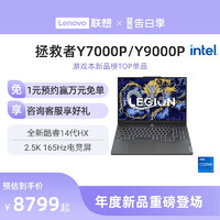Lenovo 联想 LEGION 联想拯救者 Y9000P 2024款 十四代酷睿版 16英寸 游戏本 灰色（酷睿i9-14900HX、RTX 4070 8G、32GB、1TB SSD、2.5K、LCD、240Hz）
