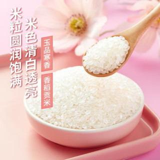 十月稻田香稻贡米5kg东北大米粳米饭团寿司用米10斤