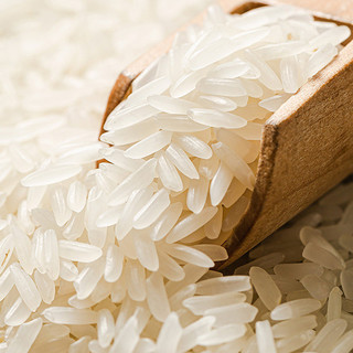 十月香当季新米新贡油粘米10kg南方大米籼米真空大米20斤