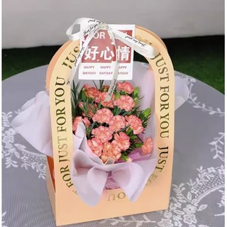 手提花盒 康乃馨盆栽