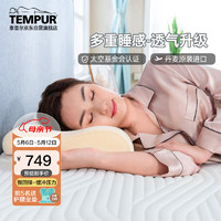 TEMPUR 泰普尔 丹麦原装进口慢回弹记忆枕头睡眠颈椎枕 线圈感温枕M