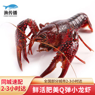 渔传播【活鲜】同城速配 鲜活小龙虾 约6-8钱/只净虾2kg 龙虾生鲜活虾