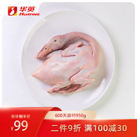 华英（HUAYING）600天麻鸭 950g/只 冷冻生鸭肉整只鸭子煲汤食材
