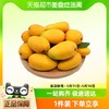 88VIP：新欢 海南台农芒果 4.5斤装