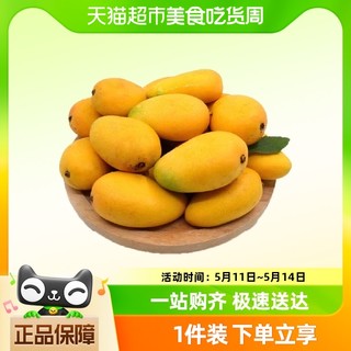 海南台农芒果 4.5斤装