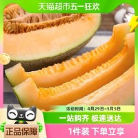 88VIP：喵满分 4-5斤装海南晓蜜哈密瓜现摘应季新鲜水果瓜