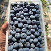 橙央新鲜蓝莓 酸甜 现摘现发蓝莓鲜果新鲜水果宝宝护眼鲜果 当季蓝莓 125g*6盒  单 果12-14mm