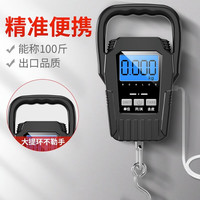 凯丰 高精度手提电子秤勾勾称家用50kg小型便携式快递称小秤弹簧秤 升级大提环电池款 50kg 10g