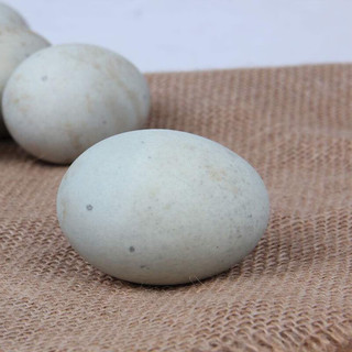 筱诺 松花蛋皮蛋 河南特产鸭蛋变蛋 单枚45g左右 10枚