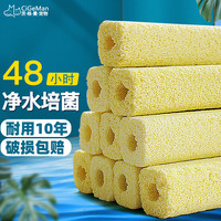 茨格曼细菌屋滤材水族底滤石英纳米硝化-陶瓷环鱼缸净水过滤材料 细菌屋大号10根