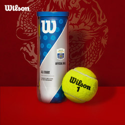 Wilson 威尔胜 大师赛通用网球比赛3只一罐 WR8208802001