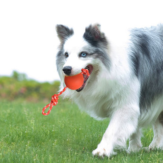 波奇多 穿绳弹力球大号 狗狗训练耐咬橡胶球带绳实心弹力球狗磨牙玩具球