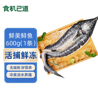 冷冻贵州开背鲟鱼600g 1条 国产淡水鱼 海鲜鱼肉 生鲜鱼类