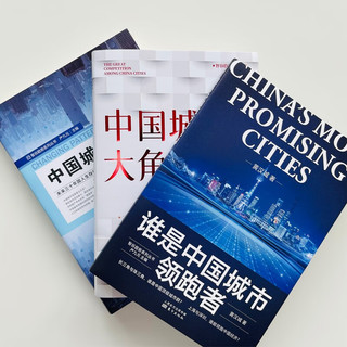 中国城市经济三部典 中国城市大角逐+中国城市大洗牌+谁是中国城市领跑者（套装3册）