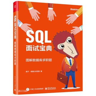 SQL面试宝典：图解数据库求职题（全彩）