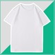 NASAD-IEU NASA联名220克重磅纯棉短袖t恤男半袖夏季宽松纯白色打底衫上衣服
