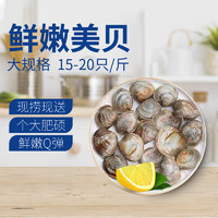 玖瑞昇 鲜活大美贝 5斤 每斤15-20粒 花甲 蛤蜊