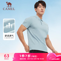 CAMEL 骆驼 棉感透气运动短袖T恤男简约POLO衫 C45225L1004 浅蓝 L