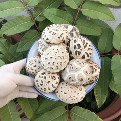 花菇哥 冬花菇500g-直徑4~6cm香菇干貨