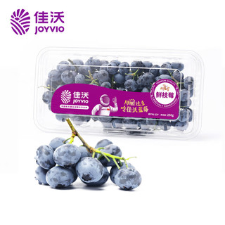 蓝莓鲜枝莓14mm+ 1盒装 约250g/盒 新鲜水果