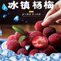 桃花会 冰杨梅40包（买30包送10包） 顺丰包邮