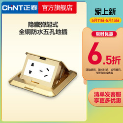 CHNT 正泰 弹起式地板插座 带功能键带接线端子不带暗盒 NED系列香槟金