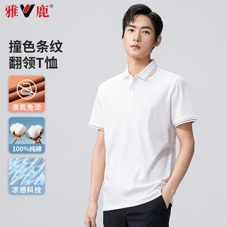 雅鹿凉感t恤男纯棉短袖夏季中青年男士商务休闲液氨polo.衫100%全棉 白色 190/3XL