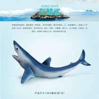 wanmole 玩模乐 仿真动物模型 仿真海洋动物模型 北极熊海龟企鹅蓝鲸抹香鲸玩具