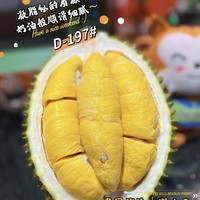 龍覘 泰國進口貓山王榴蓮 2-3斤 保4房