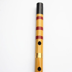 JIYAN 嘉宴 笛子竹笛成人儿童初学笛演奏短笛 F调标准音吹奏类乐器 黄色47长+笛膜