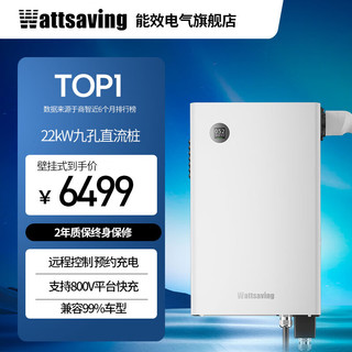 Wattsaving能效新能源汽车充电桩特斯拉22kW直流快充适用于问界M9小鹏蔚来极氪T22B红旗EQM5小米比亚迪秦PLUS 22kW远程版-远程控制-T22H-静谧白 壁挂式