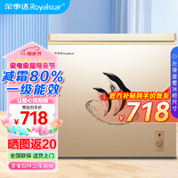Royalstar 荣事达 商用大容量大冰柜       228升