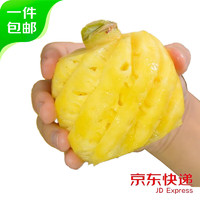 趣鲜语 海南金钻凤梨菠萝 2-3个装 净重3-3.5斤 手撕凤梨水果源头直发