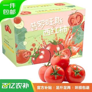 新鲜普罗旺斯西红柿 2.25kg礼盒装