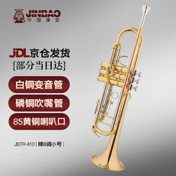 津宝 JBTR-410小号乐器 降B调磷铜吹嘴管白铜变音管专业学校管乐队