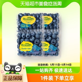 Driscoll's 怡颗莓当季蓝莓4盒装 单盒125g新鲜水果好品牌新鲜
