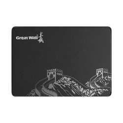 Great Wall 長城 T30 固態硬盤 128GB SATA3.0